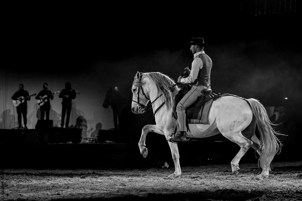 Cheval Passion 20220123-6183