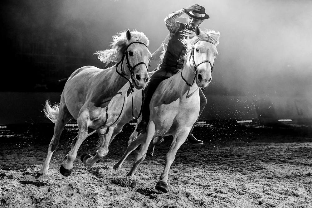 Cheval Passion 20220123-6198