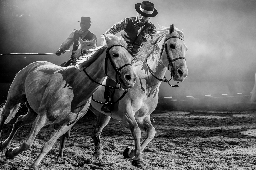 Cheval Passion 20220123-6200