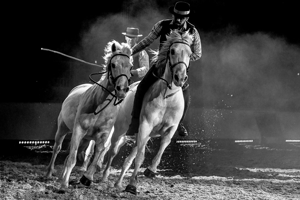 Cheval Passion 20220123-6214