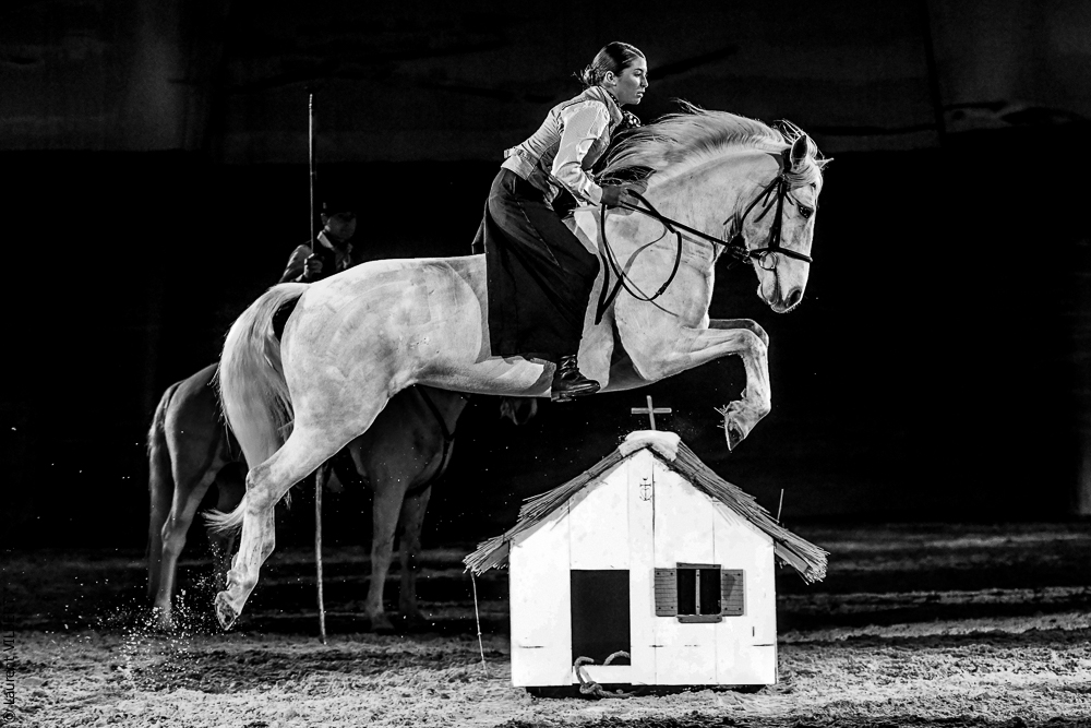 Cheval Passion 20220123-6221