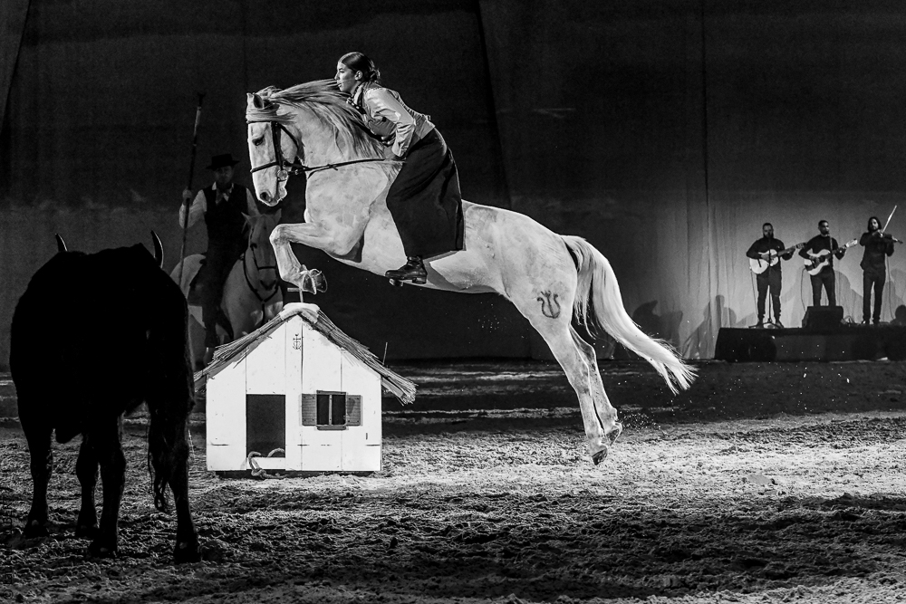 Cheval Passion 20220123-6231