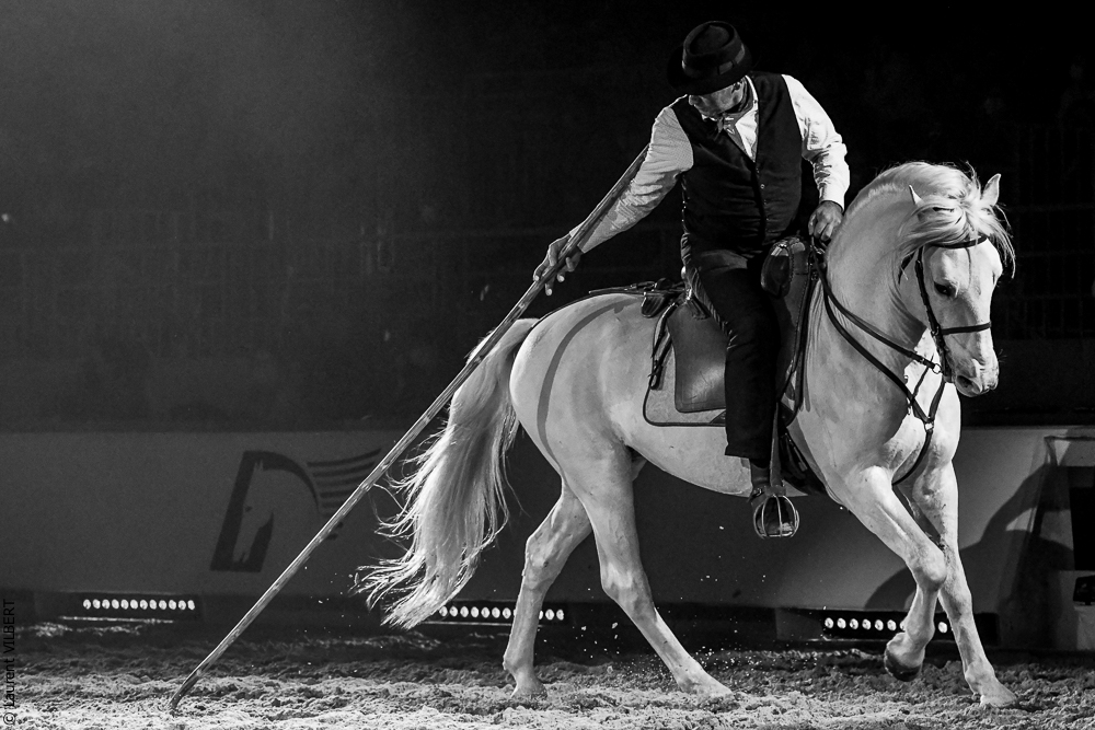 Cheval Passion 20220123-6245