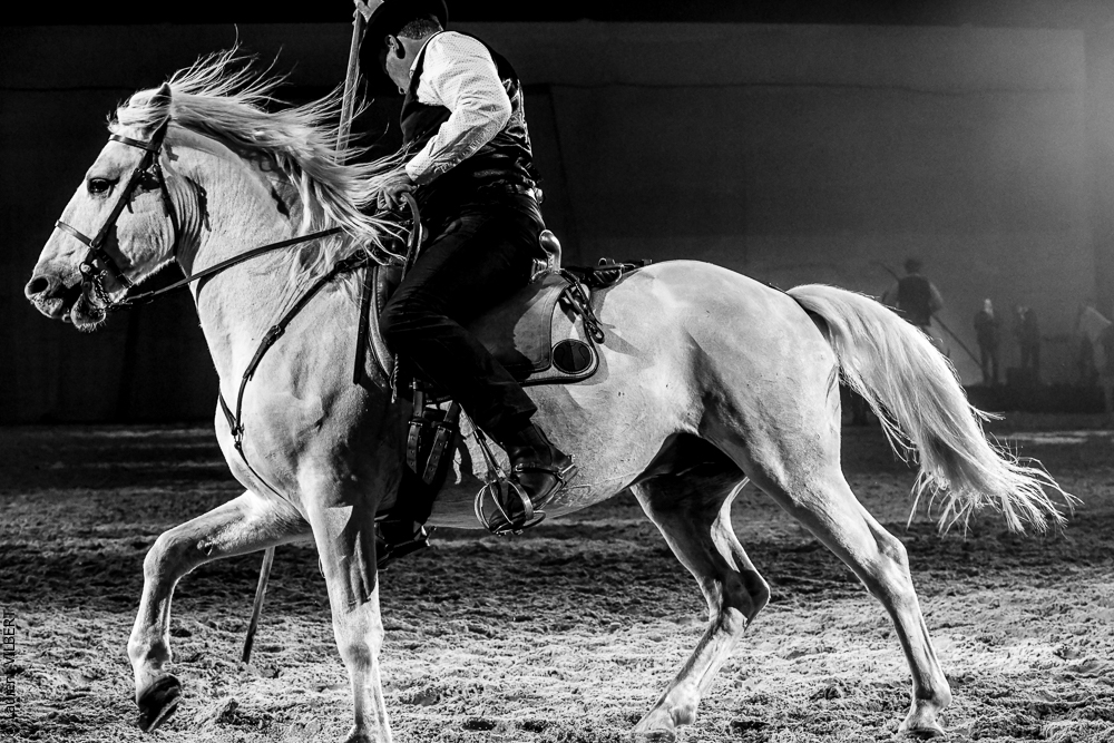 Cheval Passion 20220123-6259