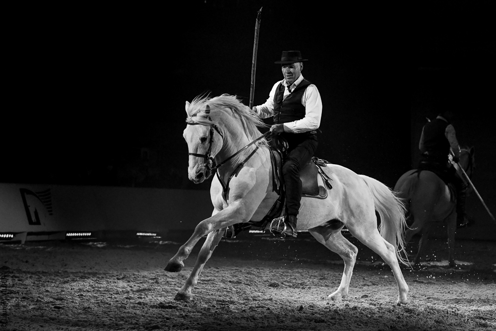 Cheval Passion 20220123-6286