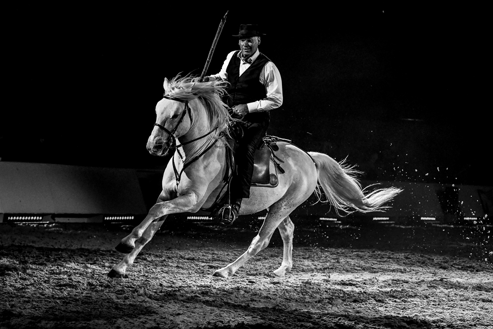 Cheval Passion 20220123-6288