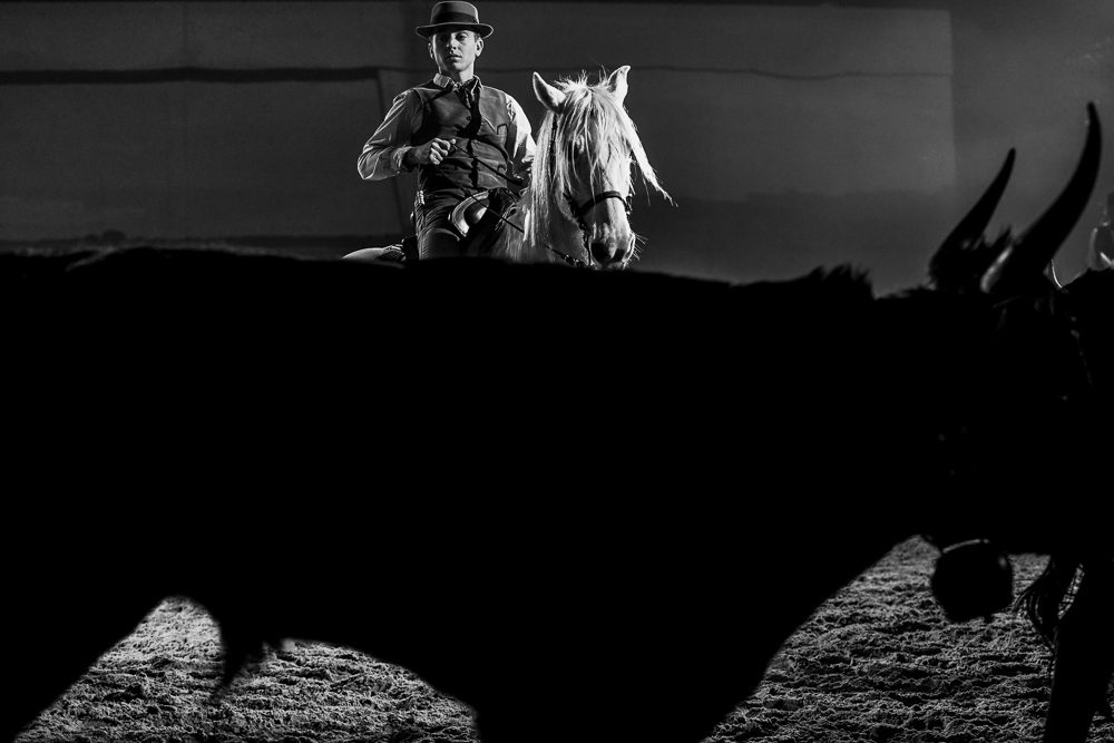 Cheval Passion 20220123-6309