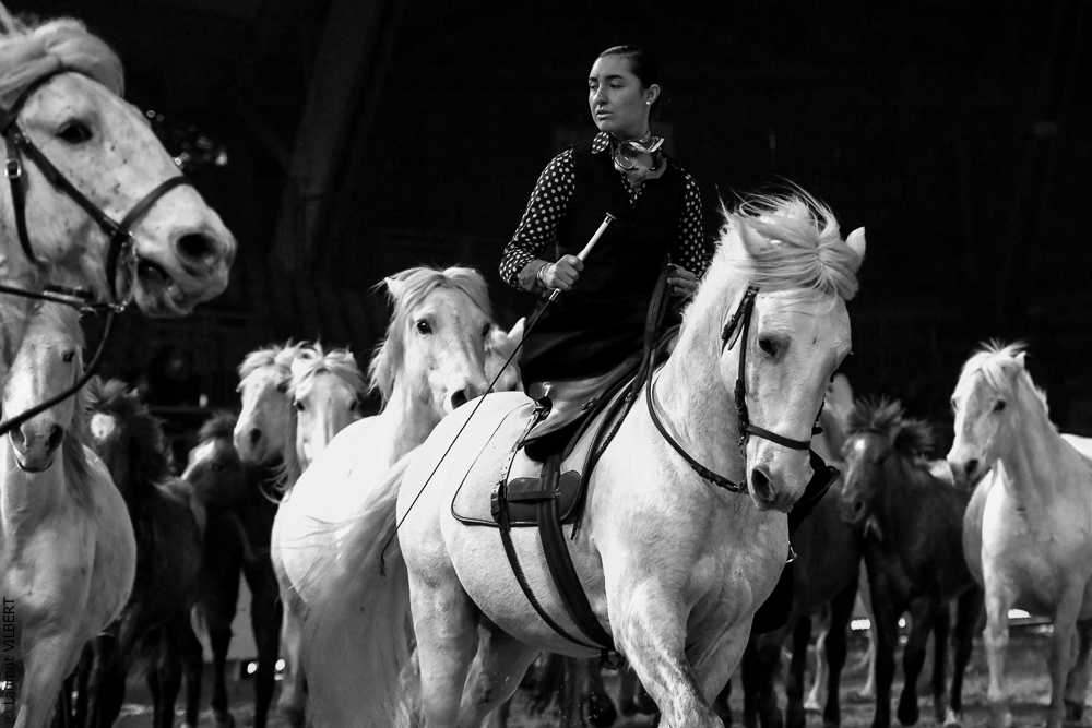 Cheval Passion 20220123-6326