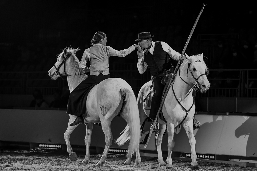 Cheval Passion 20220123-6340