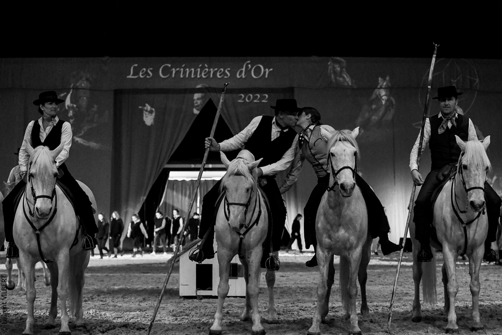 Cheval Passion 20220123-6392